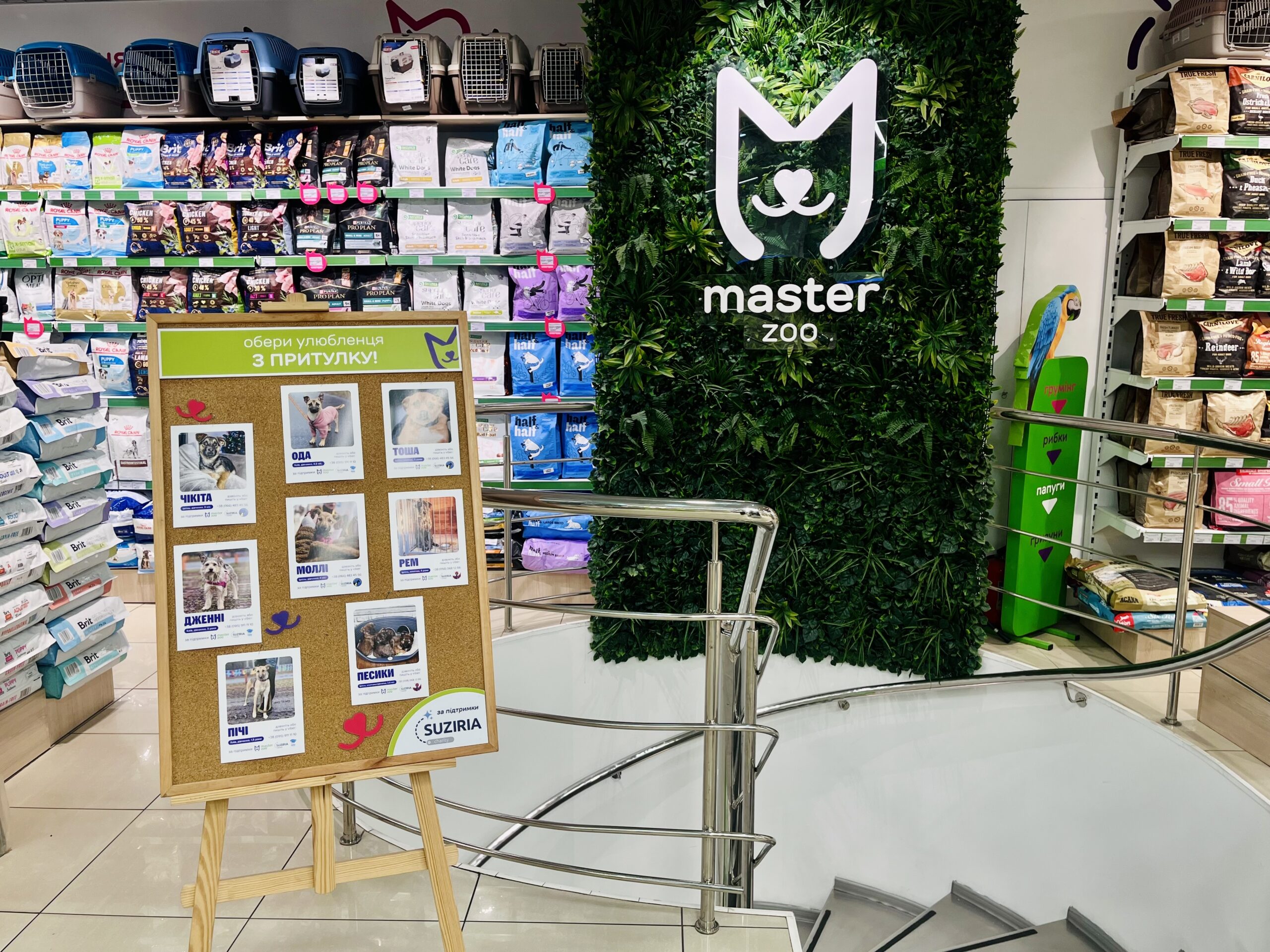 For Valentine's Day, MasterZoo offers to pick up your soulmate from the shelter