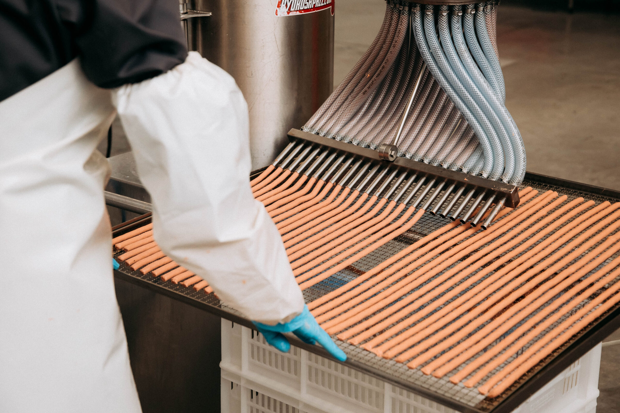 Wet pet food factory to launch in Kalush, aiming to supply up to 15% of Ukrainian market